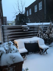 sneeuw in de tuin