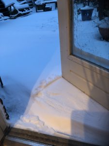 sneeuw in de tuin